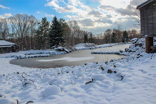 picture of Hokkaido