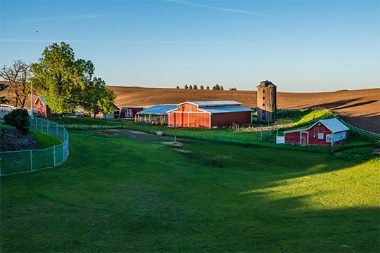 picture of farm